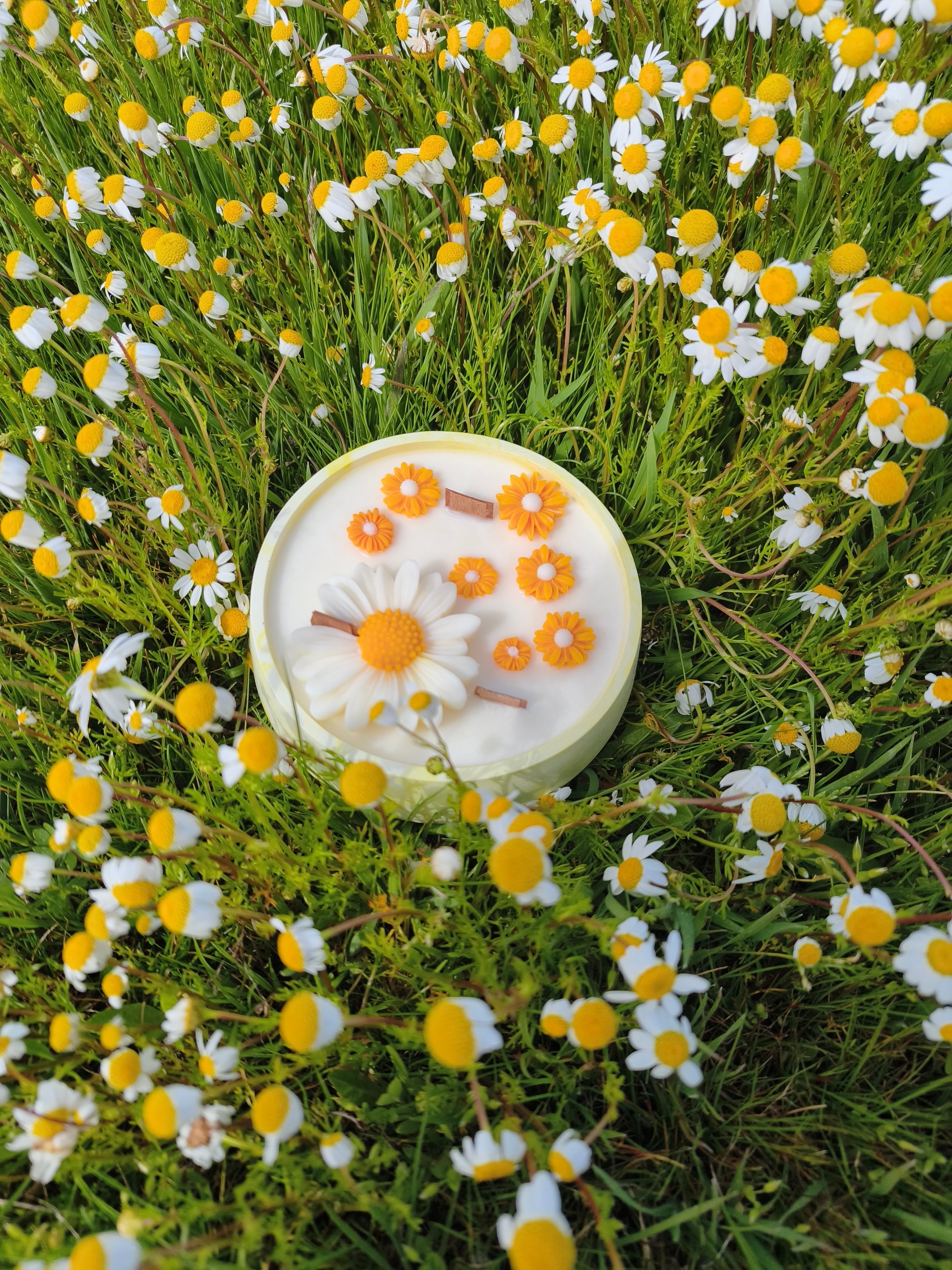 Colección Primavera