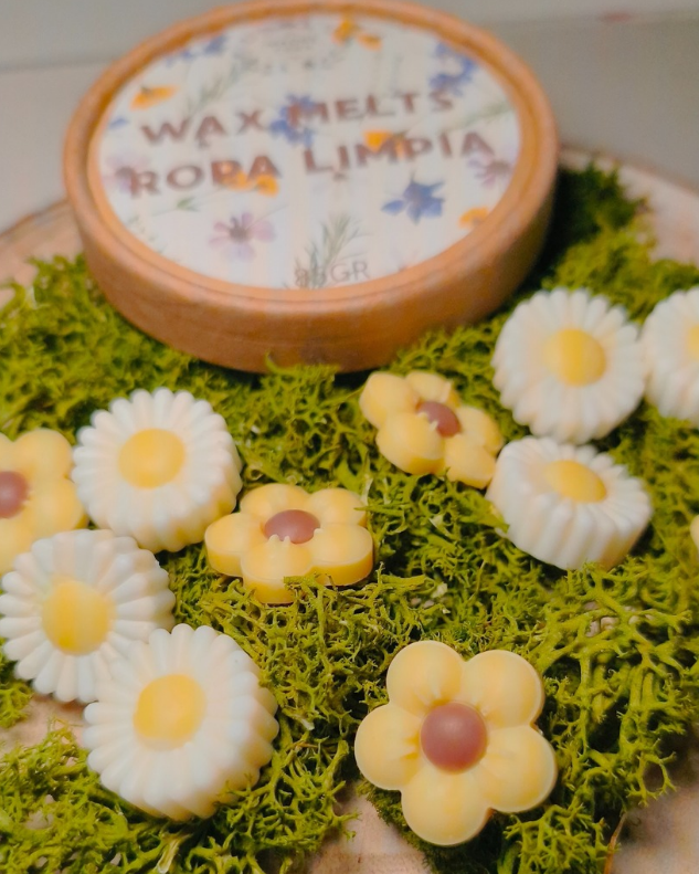 Wax melts Ropa Limpia - MADRE CERA